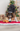 Trixie Christmas Plush Gingerbread Dog Toy dog playing with, Christmas dog toys, Pet City