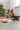 Trixie Christmas Plush Santa Dog Toy, christmas toys, dog playing with dog toys, Pet City