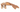 Trixie Meerkat Flat plush Dog Toy, Plush dog toys, Toys for dogs, Plush toys for dogs, Pet City