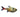 Yellow Phantom Tetra, Pet City, Pet City Porirua