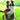 KONG Zoom Groom red, dog being groomed with zoom groom, Pet City