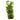 Reptile One Plant Philodendron Selloum 40cm, Pet City