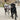 Huskimo Specialist Split Lead, Pet City Napier, Pets Warehouse, Pet City direct, huskimo split lead for walking 2 dogs, black lab wearing huskimo ultimate harness and split lead