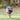 dog running in park with Kong Flyer Frisbee Extreme Dog Toy, Pet City