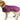 Dog wearing Huskimo Dog Coat Summit Pro Aurora, Jacket for dogs, large dog jackets, pet essentials city