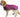 Dog wearing Huskimo Dog Coat Summit Pro Aurora, Jacket for dogs, large dog jackets, pet essentials city