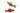 Cherry Barb, Male & Female cherry barbs, Pet City