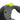 Flexi Giant 8m Neon Retractable Tape Large Lead Push button close up