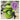 The Original Poop Bags Hydrant Dispenser on rocks, Pet City, plant based purple logo.