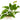 Tropical Anubias Nana, Anubias Aquarium Plants, Pet City