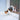Cat Mate Cat Door For Glass, cat walking through cat mate cat door fitted on glass window, Pet City