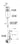 Eheim Pickup 200 replacement parts list, Pet City