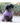 Huskimo Dog Coat Cardrona Grape black dog wearing, Pet City