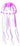Aqua One Floating Jellyfish Glow In The Dark Small, Pet City