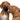 two dogs playing with Kong Extreme Ball Dog Toy, pet essentials warehouse