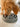 golden lab eating out of Barkley & Bella Bowl Slow Chow Feeder Melamine, Pet City
