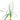 Mondo Grass Aquatic Plant, Pond grass, Pet City, live aquarium plants