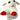 Multipet Lamb Chop, Pet City Napier, Pets Warehouse, Pet City Porirua, Animates New Plymouth
