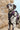 Huskimo Ultimate Harness Aurora, Pet City Napier, Pets Warehouse, The Pet Centre Wellington, walking dog harness purple, Dalmation wearing a purple harness