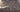 Seachem Flourish Tab out of packaging, Pet City