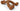 Nylabone Dura Chew Wishbone Bison, Chew dog toy, Pet City