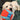 golden lab playing with Chuckit! Indoor Ball Dog Toy, Pet City