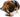 Dog Playing with Nylabone Strong Chew Wood Stick Dog Toy, Dog Toy, Pet City