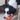 Dog Playing with Chuckit! Indoor Roller Dog Toy, Pet City