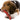 dog playing with Nylabone Dura Chew Beef Jerky, Pet City Napier