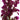Aqua One Plastic Plant Purple Hottonia With Gravel Base, Plastic plants, Aquarium deco, Pet City