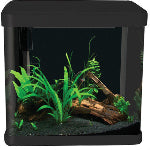 Aqua One LifeStyle 21 fish tank, pet city website collection image