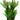 Aqua One Madagascar Lace With Gravel Base Plastic Plant with pink flowers, Pet City