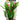 Aqua One Madagascar Lace With Gravel Base Plastic Plant, Pet City