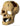Aqua One Ornament Human Skull With Hole, Ornaments for fish tanks, Pet City