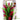 Aqua One Red Ludwigia & Green Sword With Gravel Base Plastic Plant, Pet City