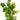 Aqua One Yellow Hottonia With Gravel Base Plastic Plant yellow flowers, Pet City