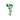 Aquatic Plant Hygrophila Wisteria Difformis