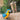 Avian Care Foraging Hut Bird Toy, Toys For birds, Parrot toys, Pet City

