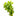 Giant Red Bacopa caroliniana Live Aquatic Plant, Pet City
