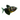 Black Widow Tetra, Tetra fish, tropical fish, pet city