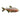 Blind Cave Tetra