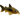 Bronze Cory Catfish, Pet City, Pet City, Bottom feeding catfish