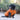 black dog wearing Huskimo Cardrona Dog Coat Turmeric