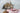 Cat eating raw chicken pet food, pet city