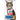 Cat Store Website Icon for cat collection, Pet City