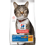 Dry Food