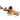 Catfish Hara Hara, Asian Stonefish Catfish, Pet City, Pet City