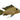 Geophagus Eartheater White Spot Satanoperca Leucosticta, Pet City, Pet City