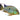 Geophagus Surinamensis Adult, Pet Essentials Warehouse, Pet City