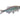 Giant Danio Fish, Tropical Fish, Pet City, Pet City